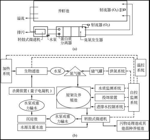帶詳細施工圖 水泥池 循環水養殖模式各有什么優點