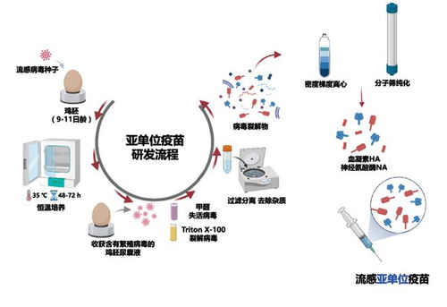 流感季來臨,我們應該如何打疫苗
